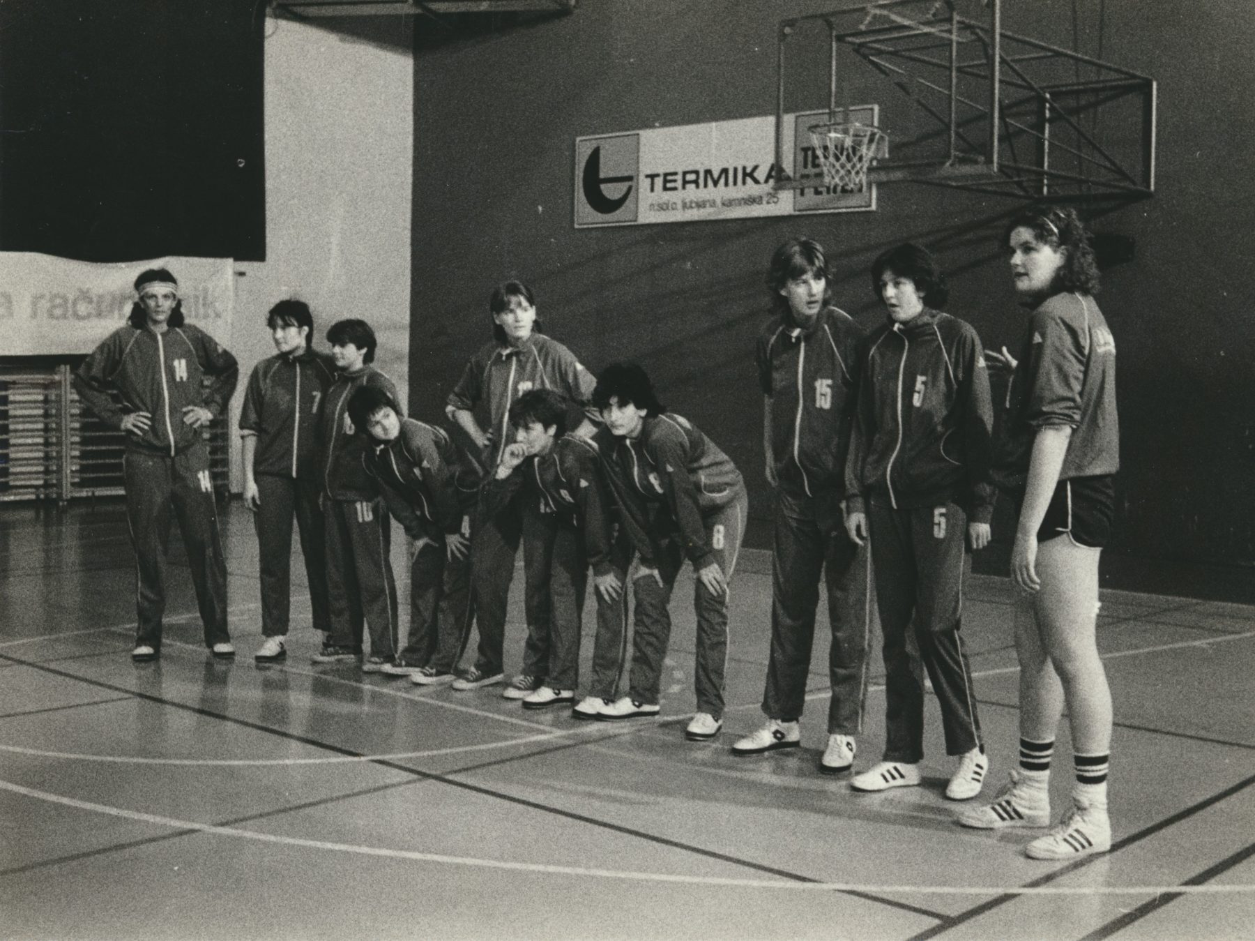 Košarkarice Ježice v sezoni 1984/85. Hrani Nataša Šiško.